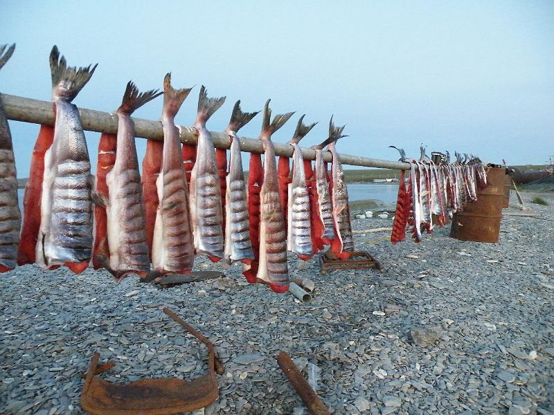 Wales-Nome 194.jpg